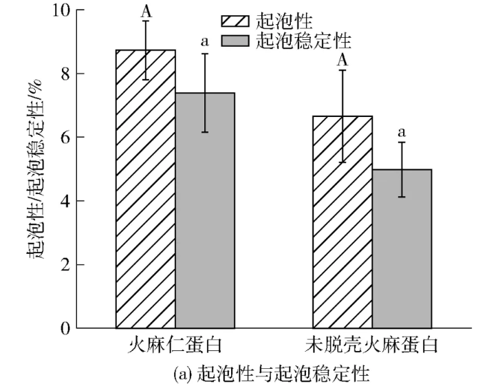 图片17